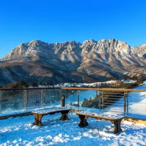 Amritsar – Shimla Senior Citizen 5 Days Tour Package